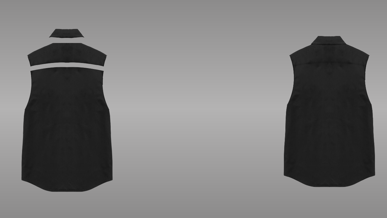 Sleeveless collar deconstructed - back