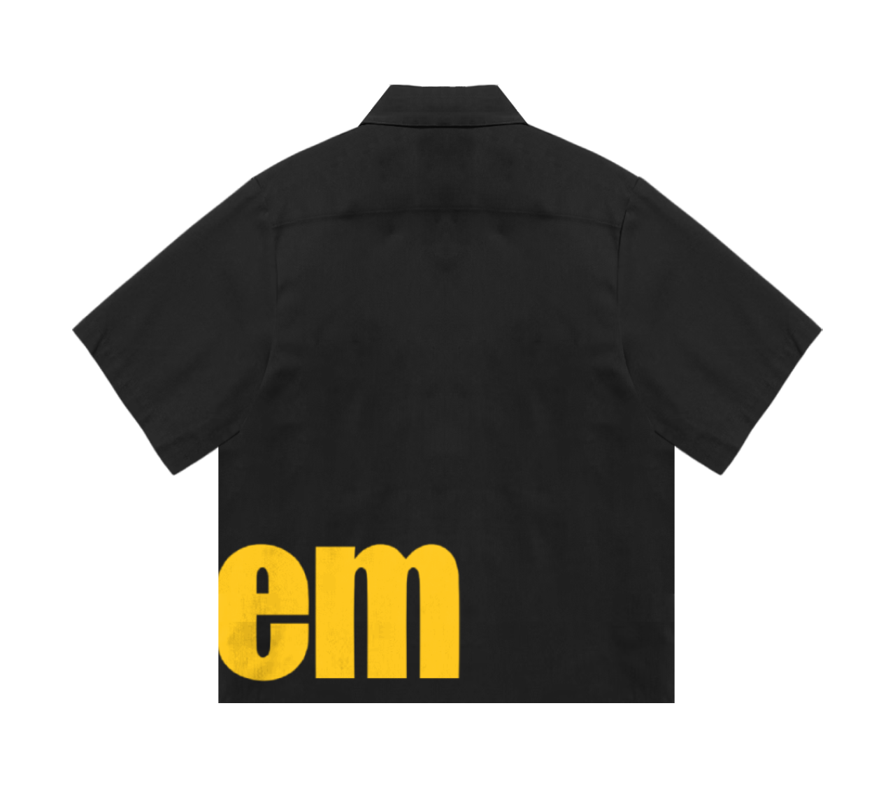 Boxy collar shirt with screen printed bitem logo - back