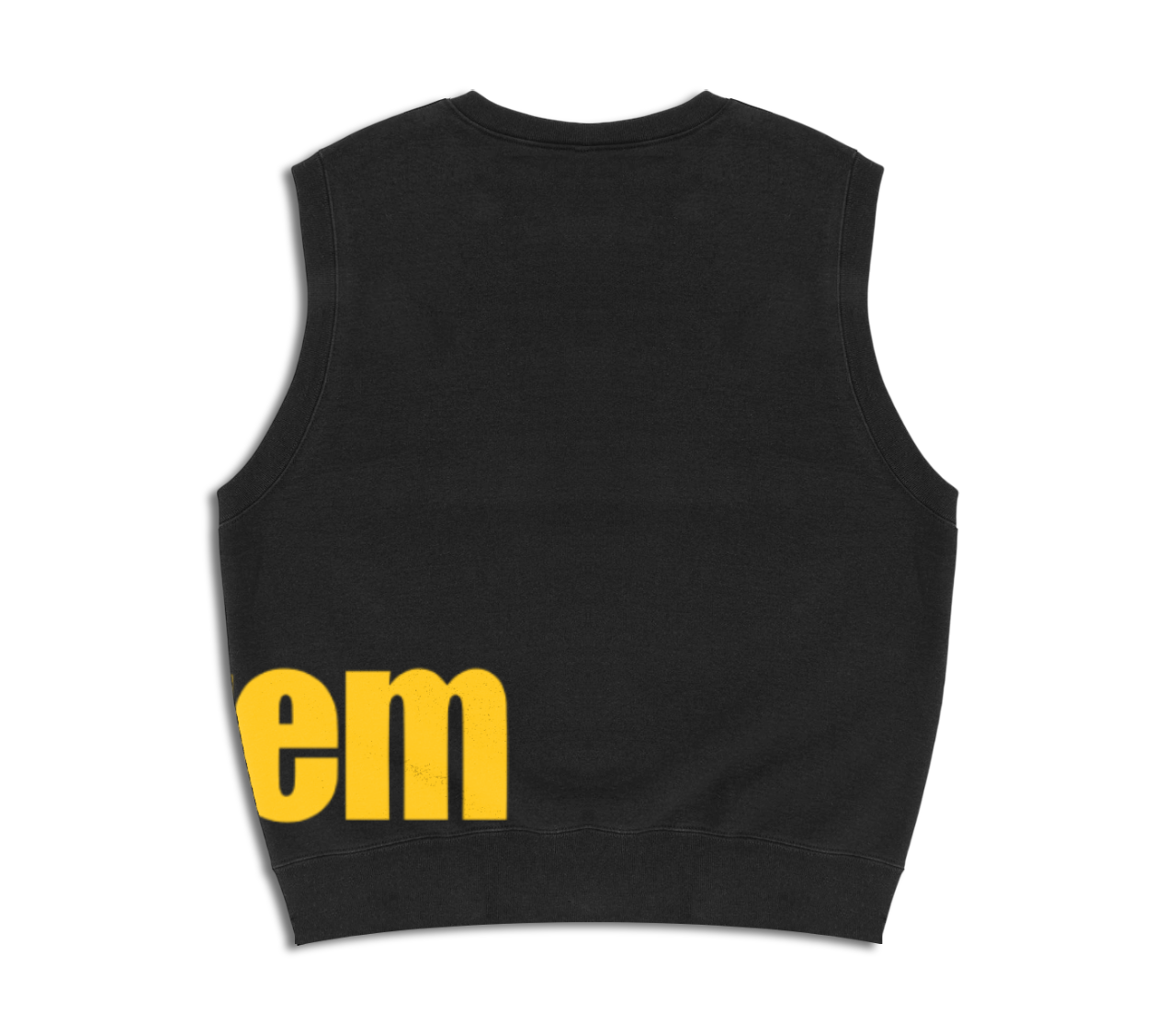 Sweater vest with screen printed bitem logo - back