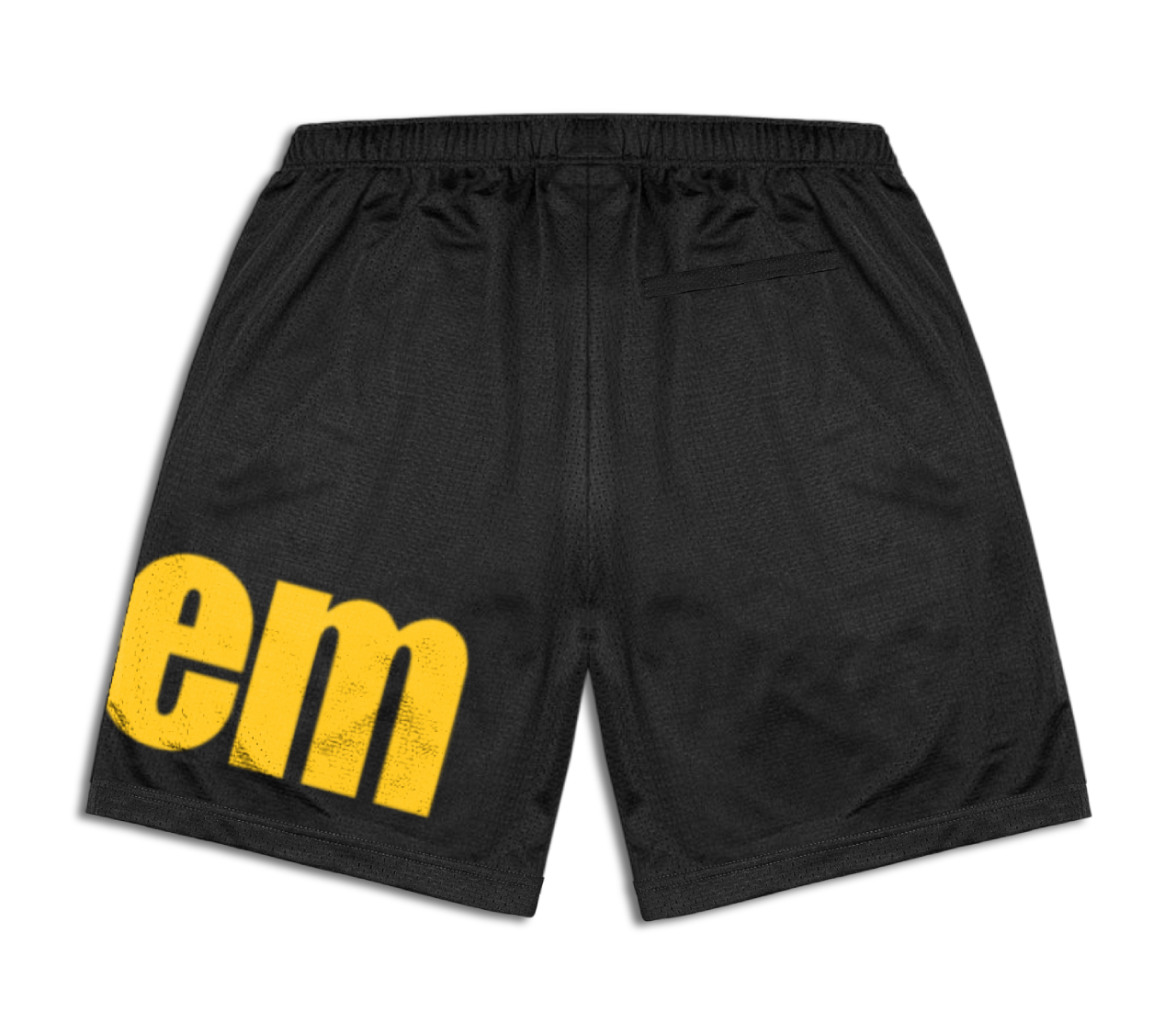 Varsity shorts with screen printed bitem logo - back