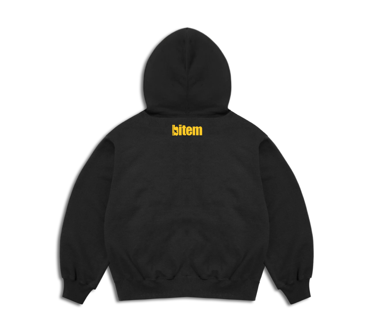 Pullover hoodie with screen printed bitem logo - back